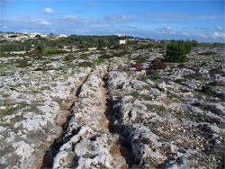 Cart ruts van Clapham Junction